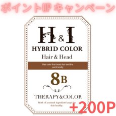 画像1: 【CP】（医薬部外品）Ｈ＆Ｉハイブリッドカラー100ｇ（8Ｂ）業務用 (1)