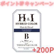 画像1: 【CP】（医薬部外品）Ｈ＆Ｉハイブリッドカラー100ｇ（ブルー）業務用 (1)