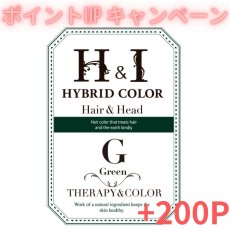 画像1: 【CP】（医薬部外品）Ｈ＆Ｉハイブリッドカラー100ｇ（グリーン）業務用 (1)