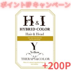 画像1: 【CP】（医薬部外品）Ｈ＆Ｉハイブリッドカラー100ｇ（イエロー）業務用 (1)