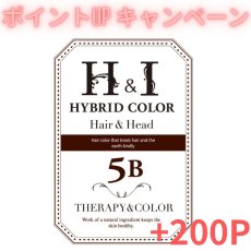 画像1: 【CP】（医薬部外品）Ｈ＆Ｉハイブリッドカラー100ｇ（5Ｂ）業務用 (1)