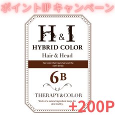 画像1: 【CP】（医薬部外品）Ｈ＆Ｉハイブリッドカラー100ｇ（6Ｂ）業務用 (1)