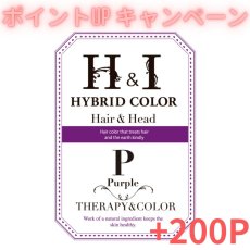 画像1: 【CP】（医薬部外品）Ｈ＆Ｉハイブリッドカラー100ｇ（パープル）業務用 (1)