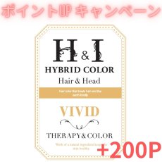 画像1: 【CP】Ｈ＆Ｉハイブリッドカラー100ｇ（ビビッド）業務用 (1)