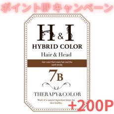 画像1: 【CP】（医薬部外品）Ｈ＆Ｉハイブリッドカラー100ｇ（7Ｂ）業務用 (1)