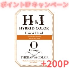 画像1: 【CP】（医薬部外品）Ｈ＆Ｉハイブリッドカラー100ｇ（オレンジ）業務用 (1)