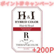 画像1: 【CP】（医薬部外品）Ｈ＆Ｉハイブリッドカラー100ｇ（レッド）業務用 (1)