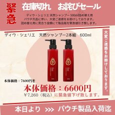 画像1: 【緊急セール】ディウ・シェリエ 天然シャンプー〈プロフェッショナル〉300ml【2本組】 (1)