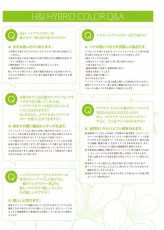 画像4: 【CP】（医薬部外品）Ｈ＆Ｉハイブリッドカラー100ｇ（8Ｂ）業務用 (4)