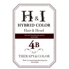画像1: 【CP】（医薬部外品）Ｈ＆Ｉハイブリッドカラー100ｇ（4Ｂ）業務用 (1)
