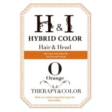 画像1: 【CP】（医薬部外品）Ｈ＆Ｉハイブリッドカラー100ｇ（オレンジ）業務用 (1)