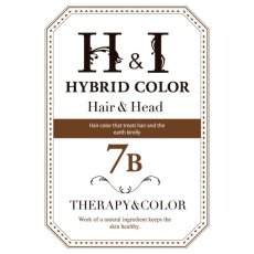 画像1: （医薬部外品）Ｈ＆Ｉハイブリッドカラー100ｇ（7Ｂ）業務用 (1)