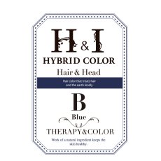画像1: 【CP】（医薬部外品）Ｈ＆Ｉハイブリッドカラー100ｇ（ブルー）業務用 (1)