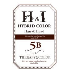 画像1: 【CP】（医薬部外品）Ｈ＆Ｉハイブリッドカラー100ｇ（5Ｂ）業務用 (1)