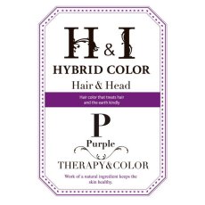 画像1: 【CP】（医薬部外品）Ｈ＆Ｉハイブリッドカラー100ｇ（パープル）業務用 (1)