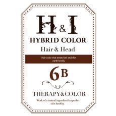 画像1: 【CP】（医薬部外品）Ｈ＆Ｉハイブリッドカラー100ｇ（6Ｂ）業務用 (1)