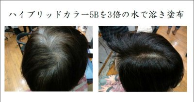 画像1: 【CP】（医薬部外品）Ｈ＆Ｉハイブリッドカラー100ｇ（8Ｂ）業務用