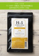 画像1: 【CP】（医薬部外品）Ｈ＆Ｉハイブリッドカラー100ｇ（YB）業務用 (1)