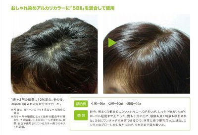 画像3: 【CP】（医薬部外品）Ｈ＆Ｉハイブリッドカラー100ｇ（8Ｂ）業務用