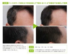 画像3: 【CP】（医薬部外品）Ｈ＆Ｉハイブリッドカラー100ｇ（YB）業務用 (3)