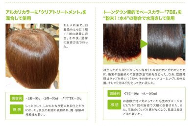 画像2: 【CP】Ｈ＆Ｉハイブリッドカラー100ｇ（クリアトリートメント）業務用