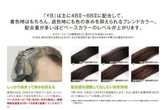 画像2: 【CP】（医薬部外品）Ｈ＆Ｉハイブリッドカラー100ｇ（YB）業務用 (2)
