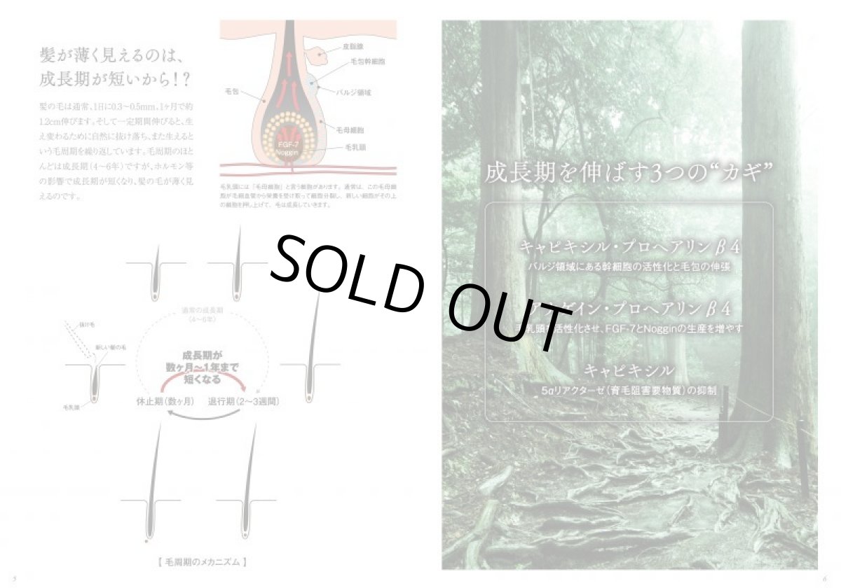 画像3: 【在庫限りで終了】ディウ・シェリエ 【スカルプエッセンス】200ml (3)