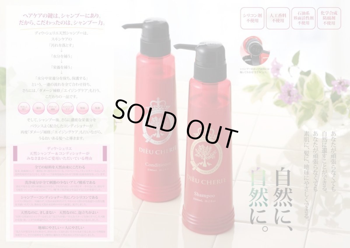 画像2: ディウ・シェリエ リーフレット 【A4サイズ三つ折り】10枚入り (2)