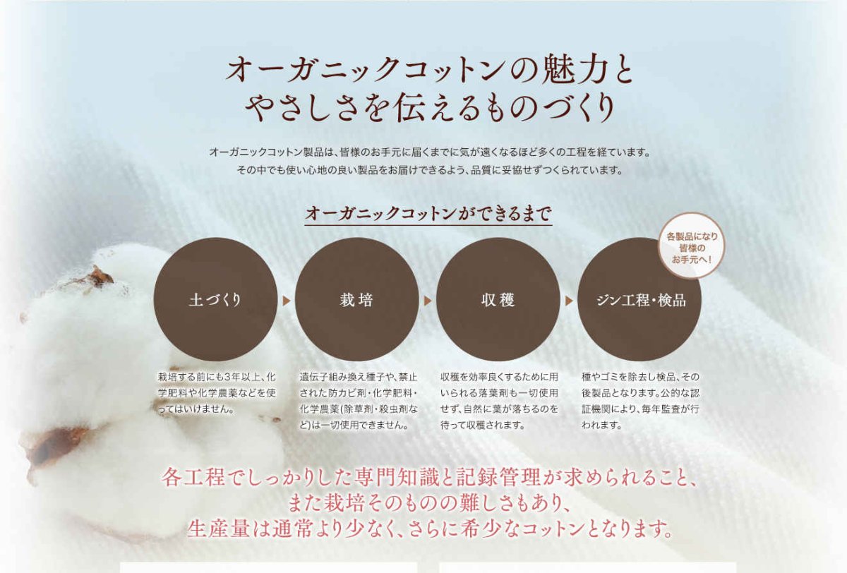 画像7: オーガニックコットンパフＬサイズ 120枚 (7)