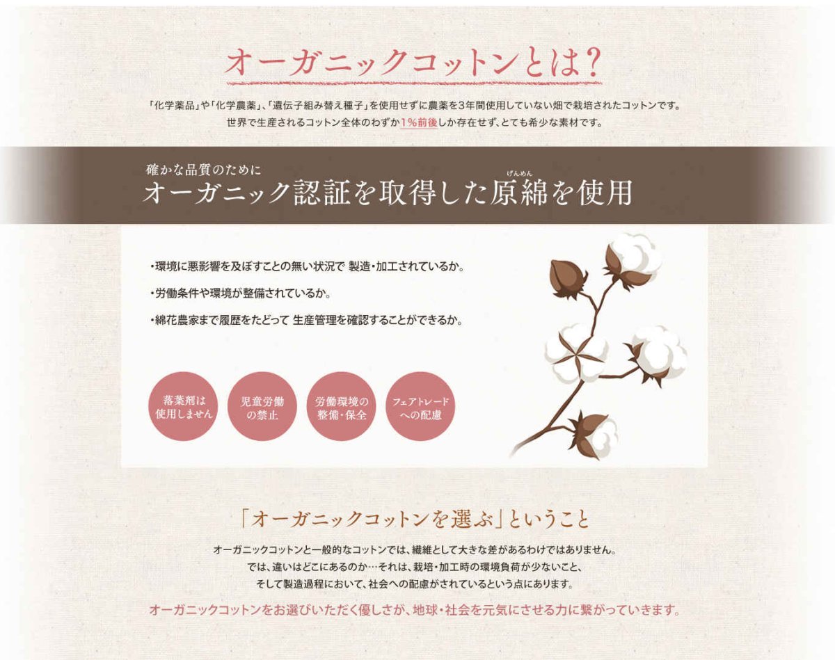 画像6: オーガニックコットンパフＬサイズ 120枚 (6)